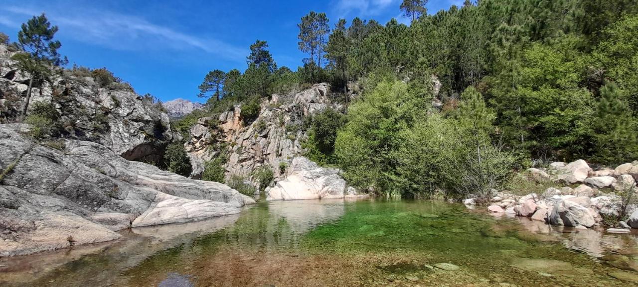Un Petit Paradis Pinarellu 外观 照片
